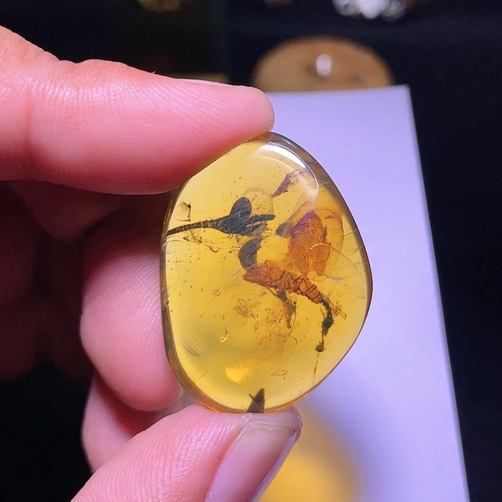 琥珀裸石未镶嵌蓝*倪，