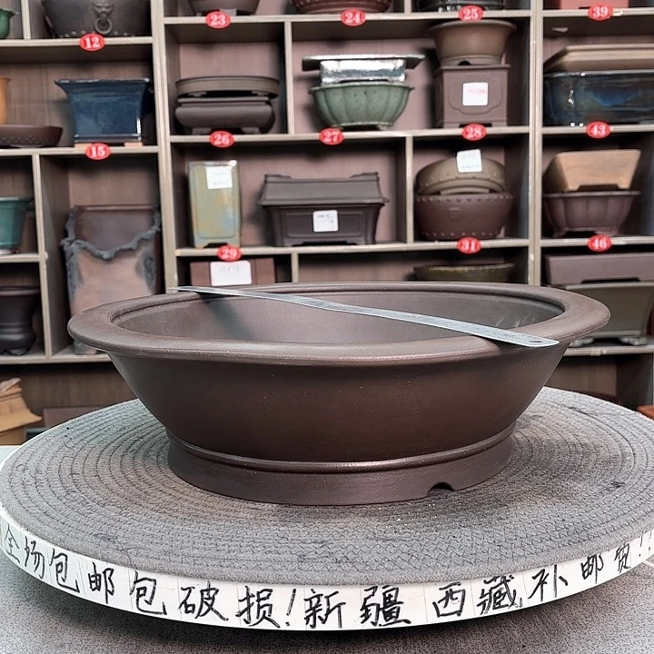 紫砂花盆葉*生紫砂的花也太漂亮