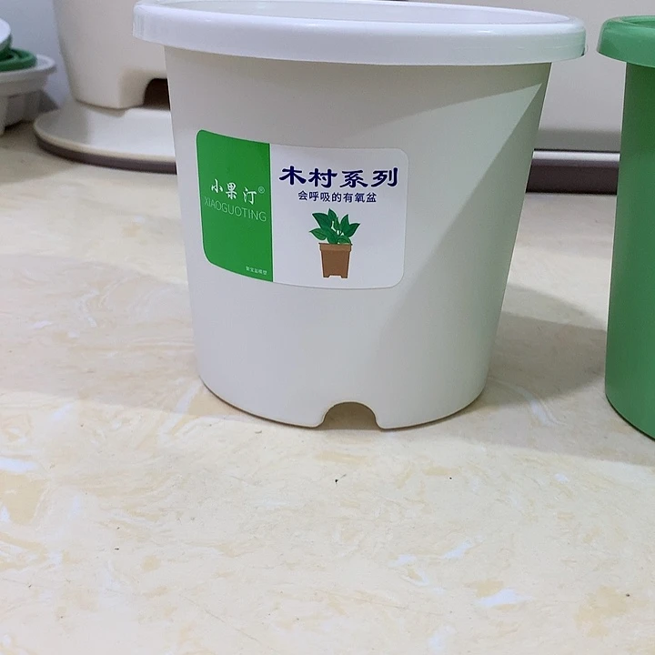 小果汀15口白10个无托