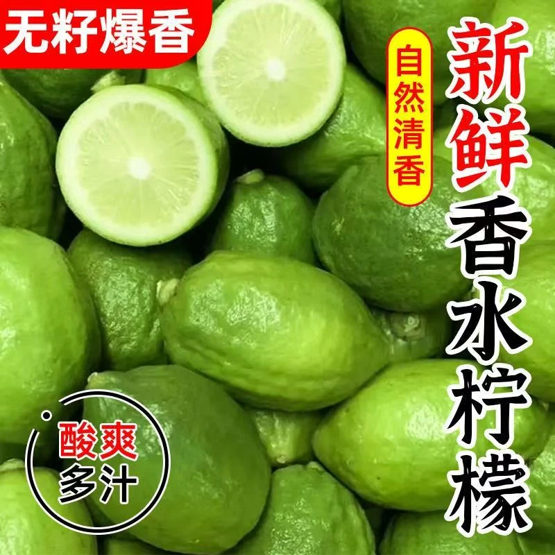 云南无籽香水柠檬新鲜正宗青柠檬奶茶店专用当季鲜果暴打整箱批发