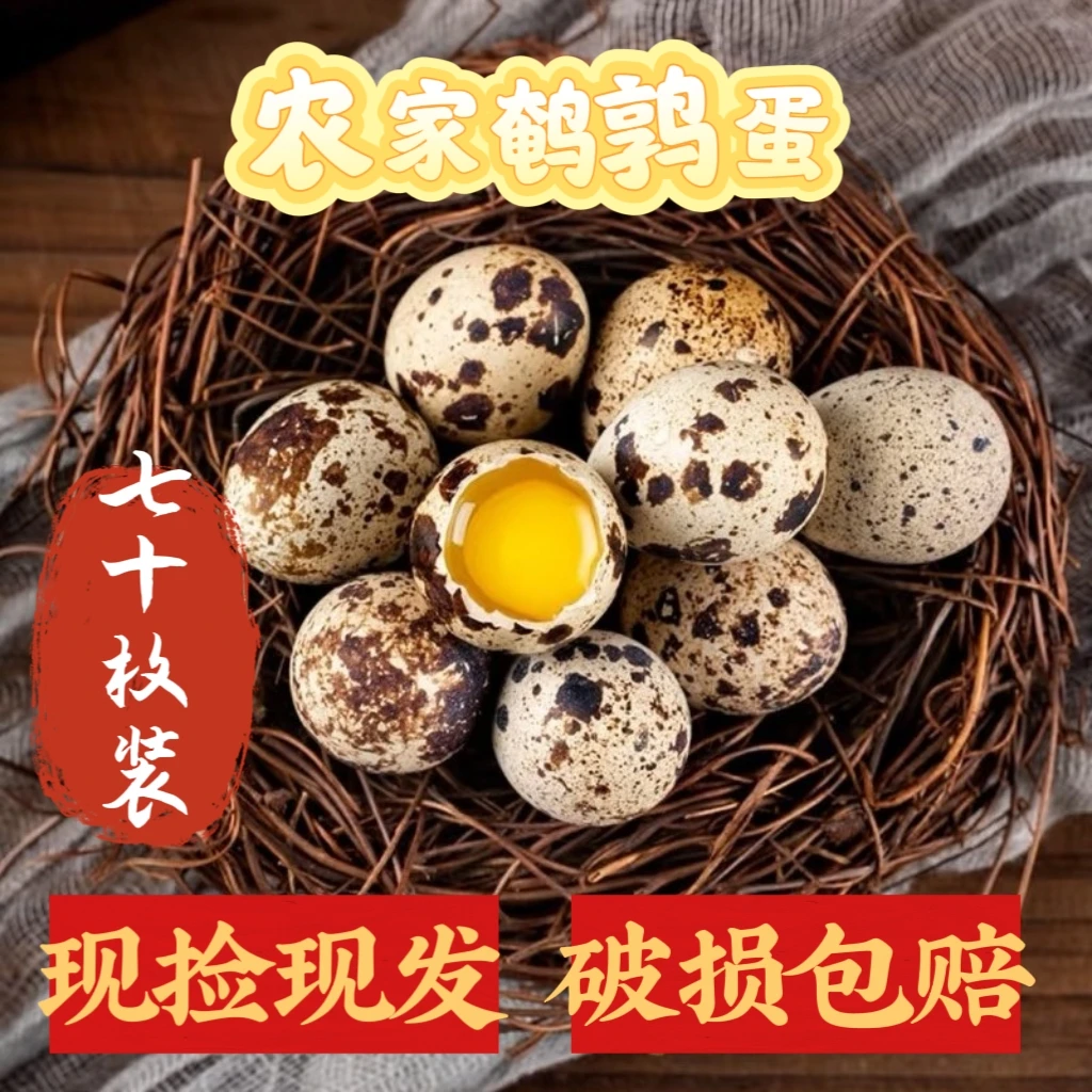 【雨泽臻选70枚】新鲜鹌鹑蛋“现场打包发货”颗颗饱满营养价值高