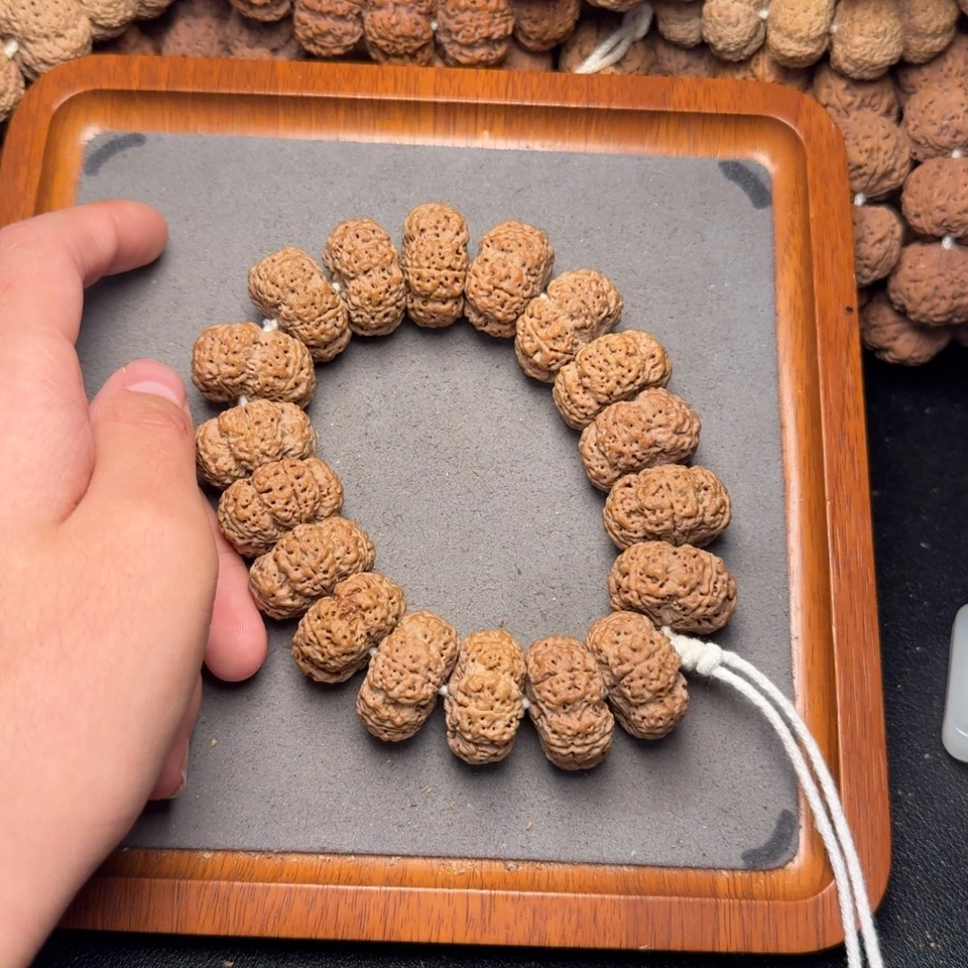 9号尼泊尔大金刚24.5-25五星梅花蜂王夹板