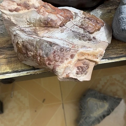 无花朵逢**悦家居装修案例