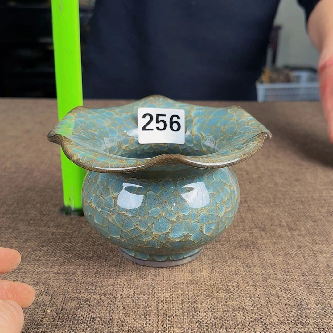 杯正能量满满的正能量