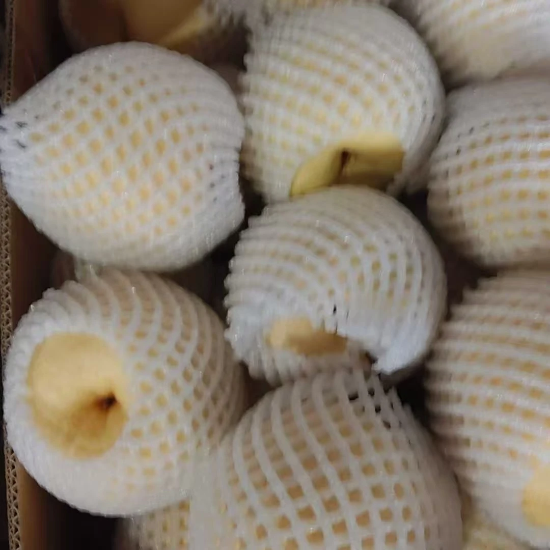 山西酥梨新鲜当季应季水果口感酥脆多汁好吃