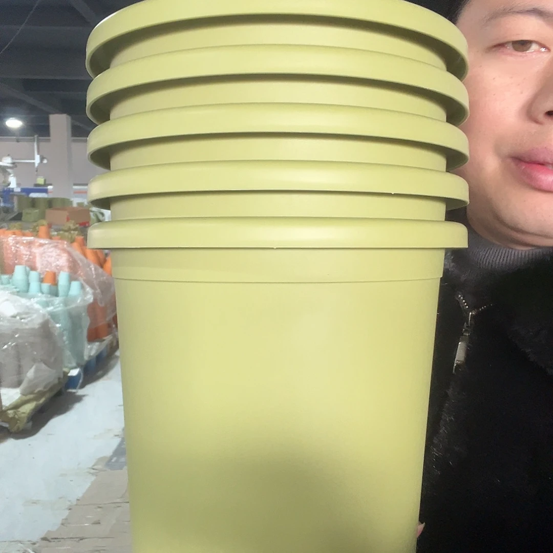 树脂圆3号绿5个带托