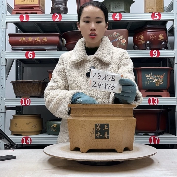 紫砂花盆紫砂花盆