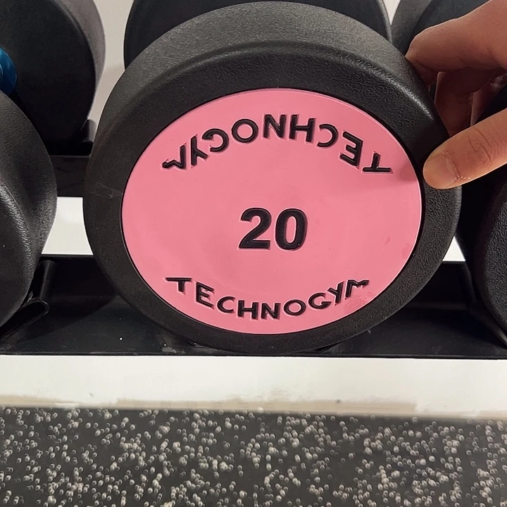 全新纯钢泰诺哑铃20公斤一对粉色