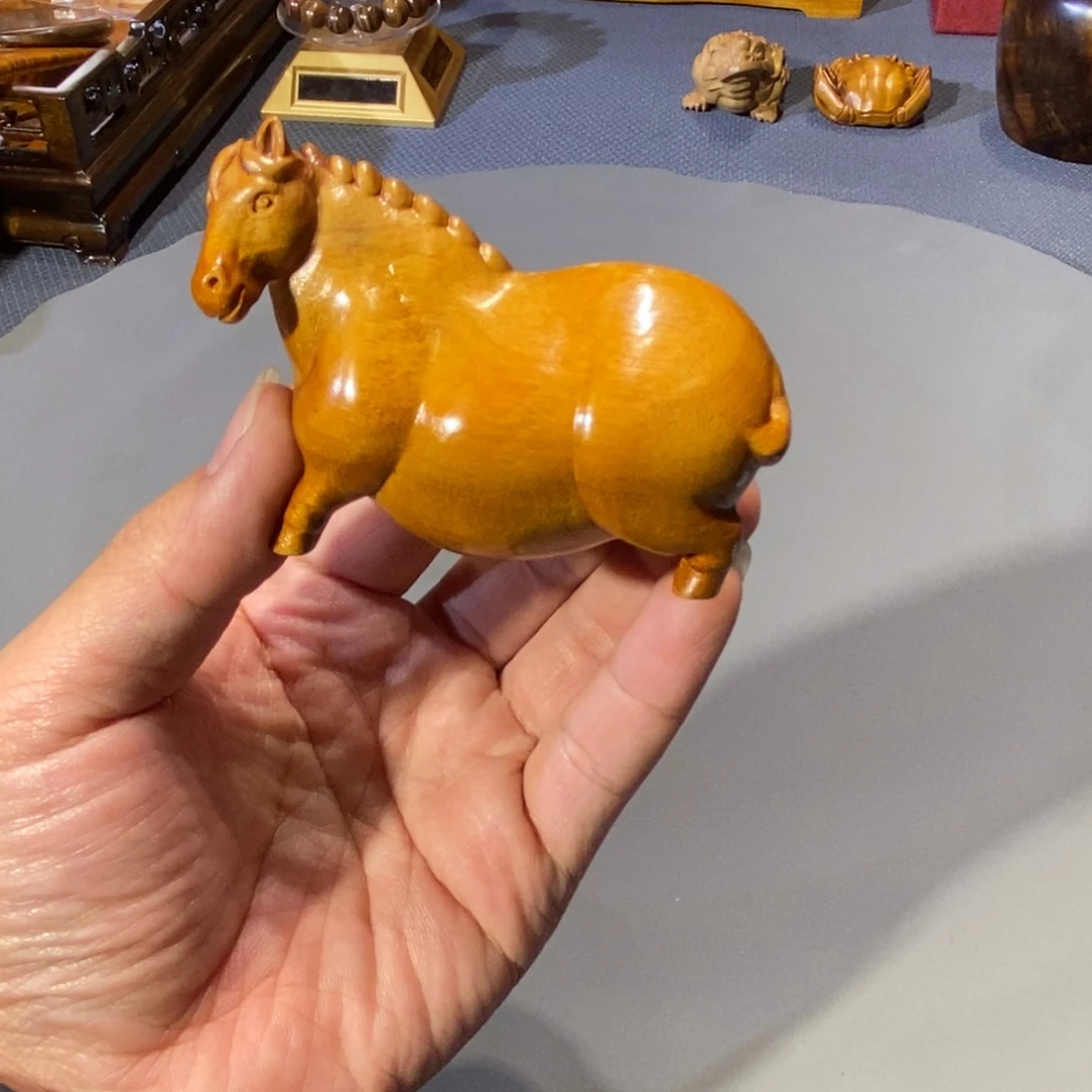 楠木小叶桢楠 马一只