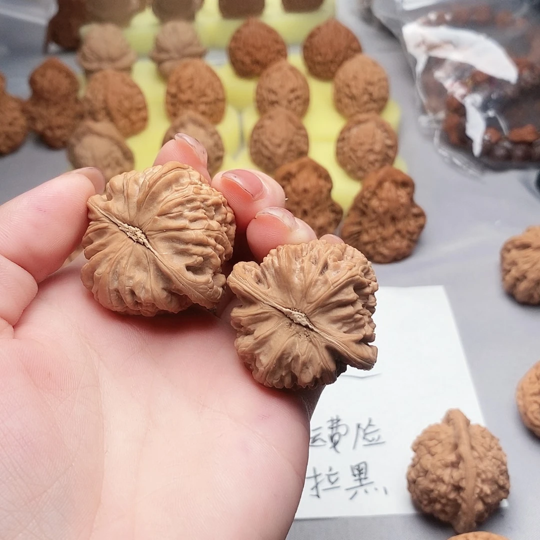 大叶紫檀（黑酸枝木类）白狮子