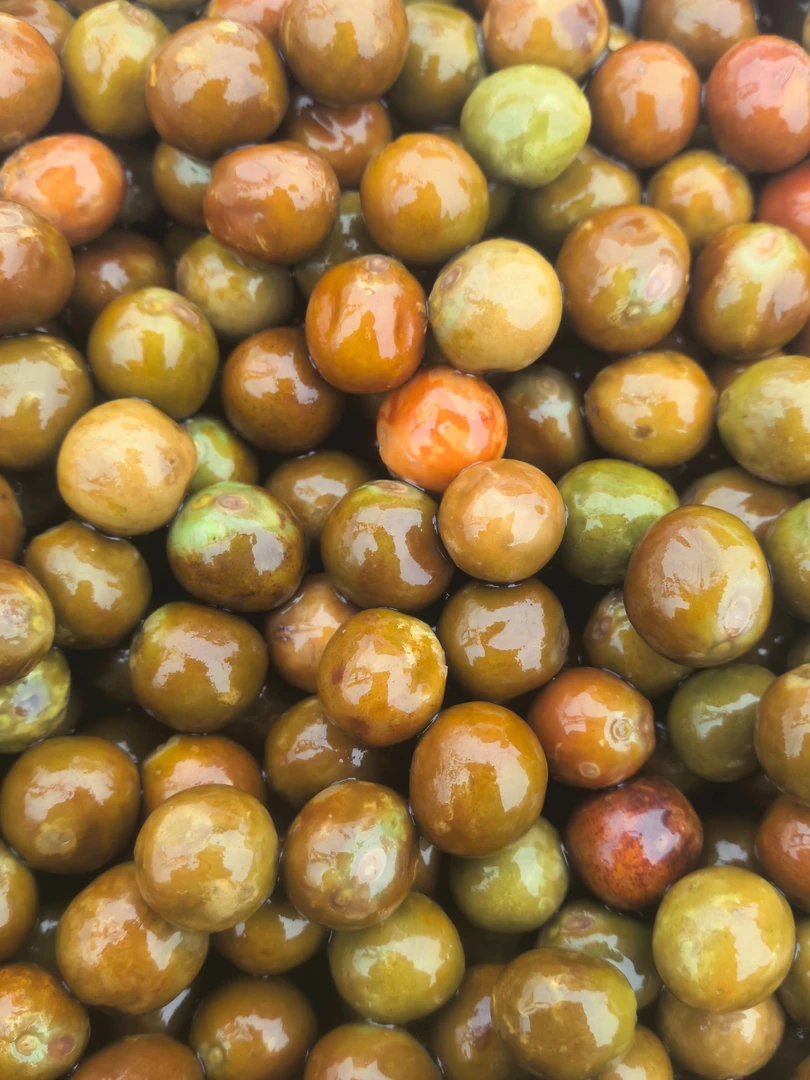 2025年安徽霍邱新鲜鸡头果带壳芡实鸡头子