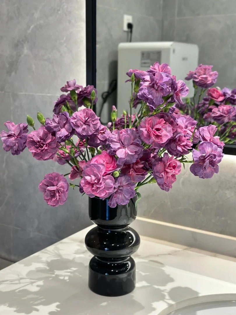 婵之语优选  艾伦多头康乃馨鲜切花