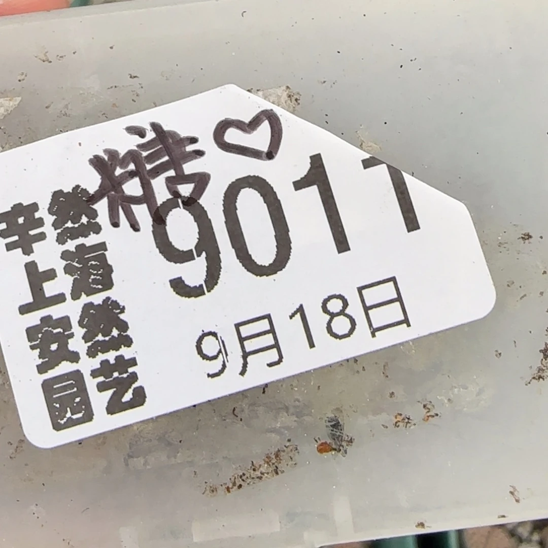 *****9.18。  c63。  9011