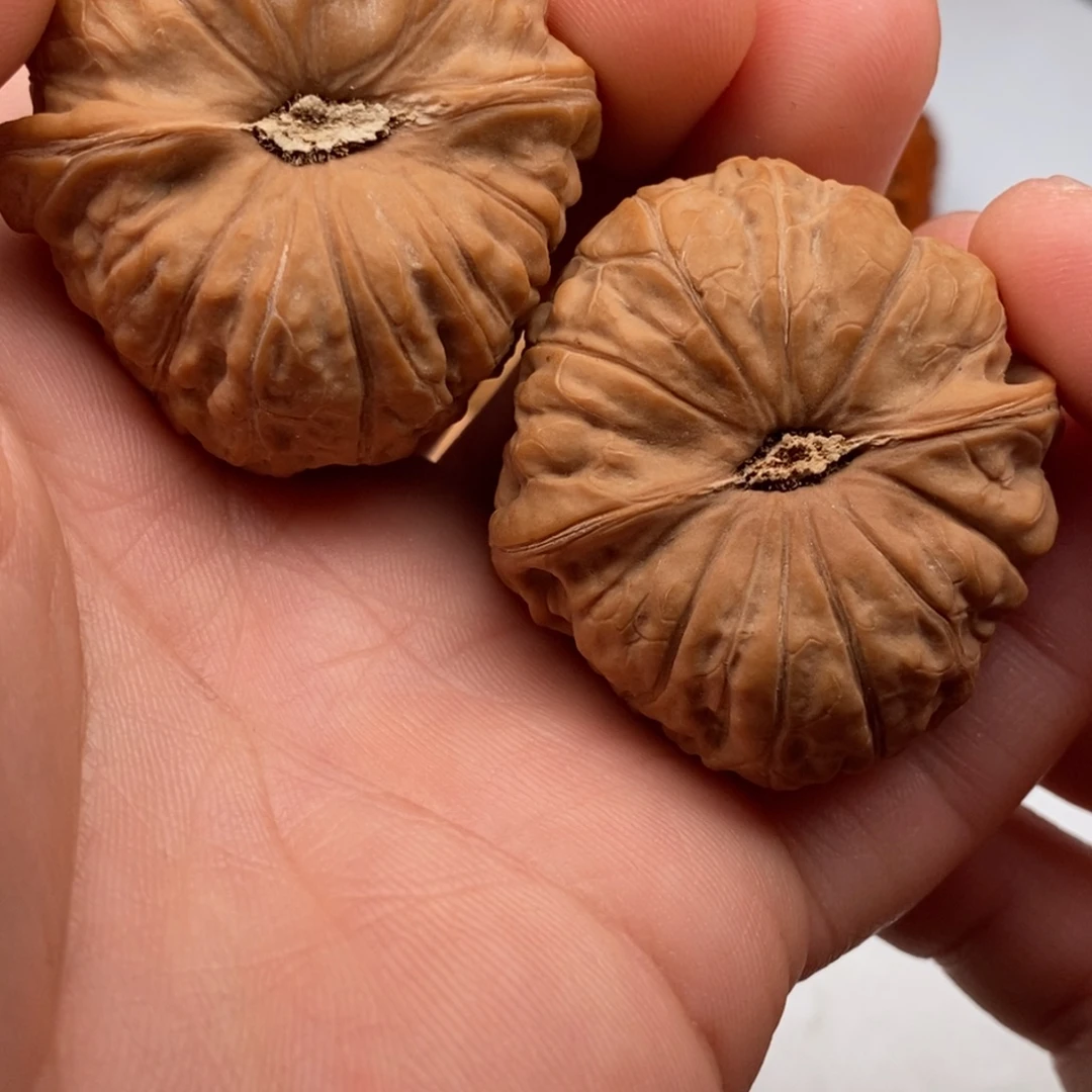 文玩核桃把件42南瓜墩