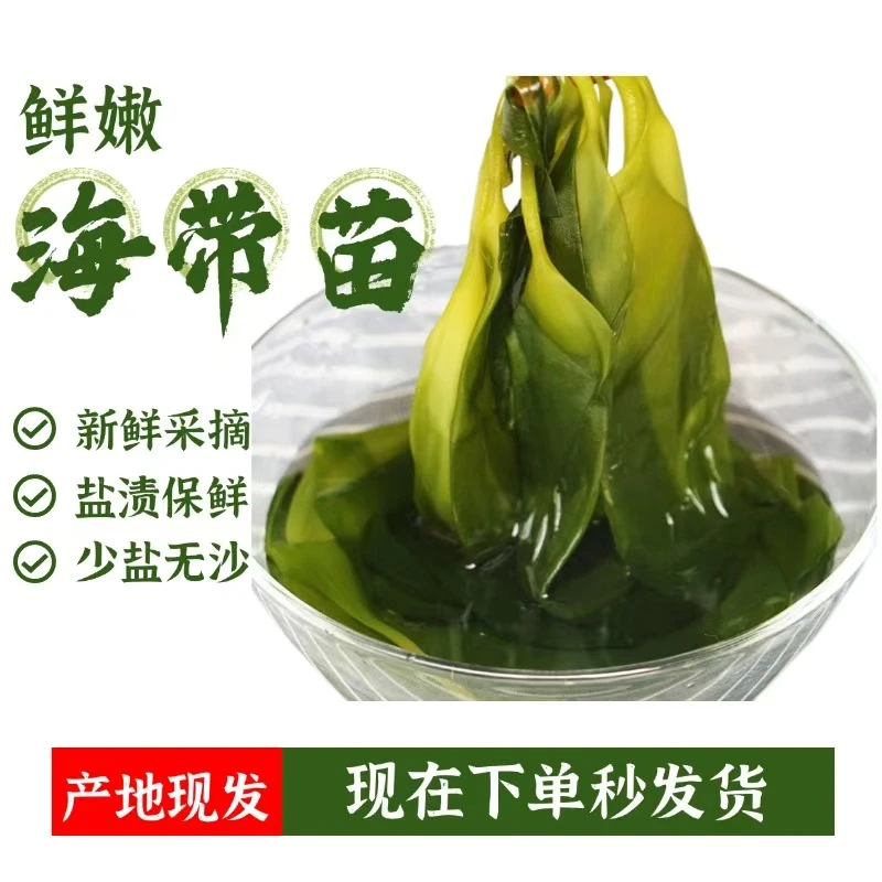 净重5斤海带嫩苗新鲜盐渍海带苗火锅食材凉拌健康食材