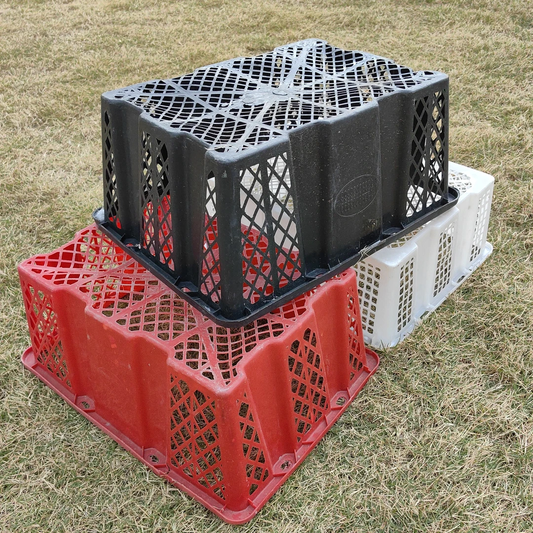 腾欣狮头出壳专用塑料筐家用便携式大大号5个装