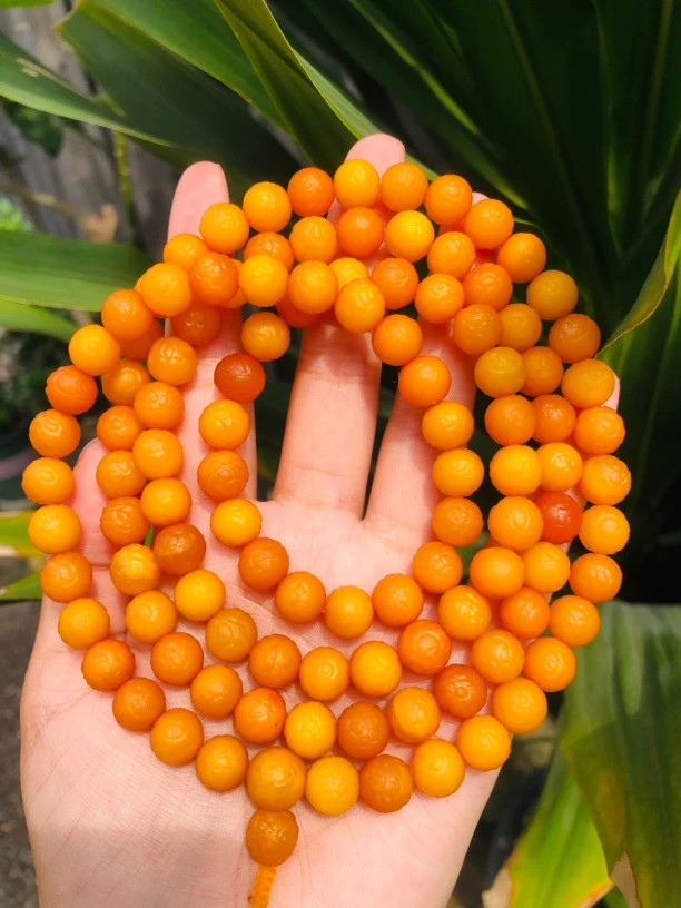 馆藏级海漂琥珀108佛珠项链9大加近1佛珠108