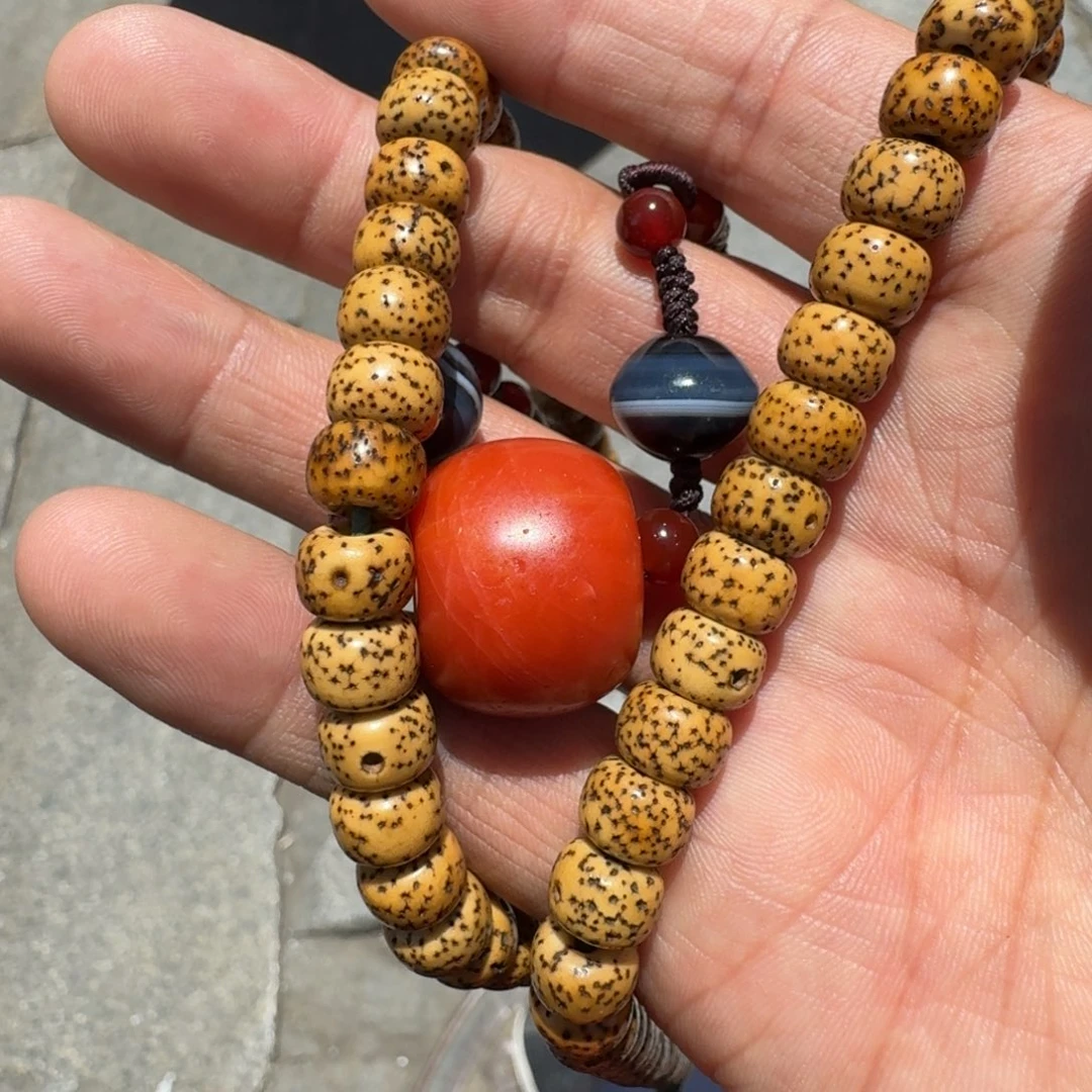 星月菩提吊坠菩提树等树木的生长发育和