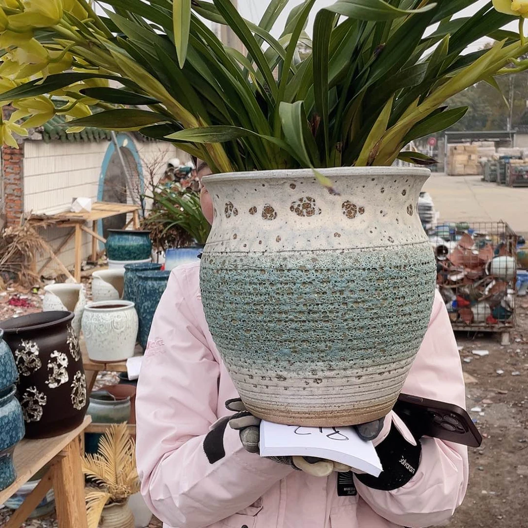 红陶王嫂花盆直播0226-五大蓝泡