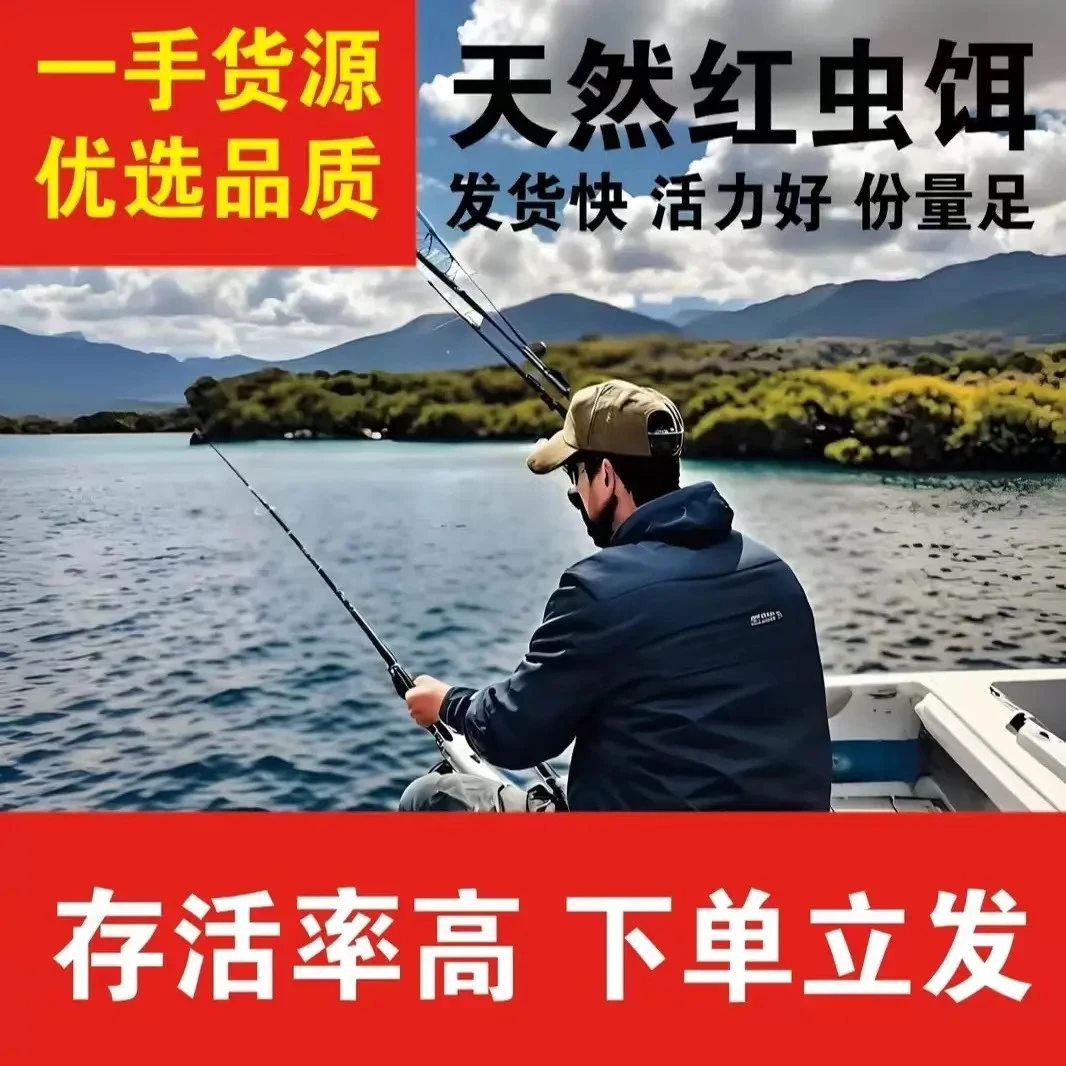【精品虫皇巨无霸】红虫精品虫野钓黑坑竞技冬季钓鱼必备饵料-23