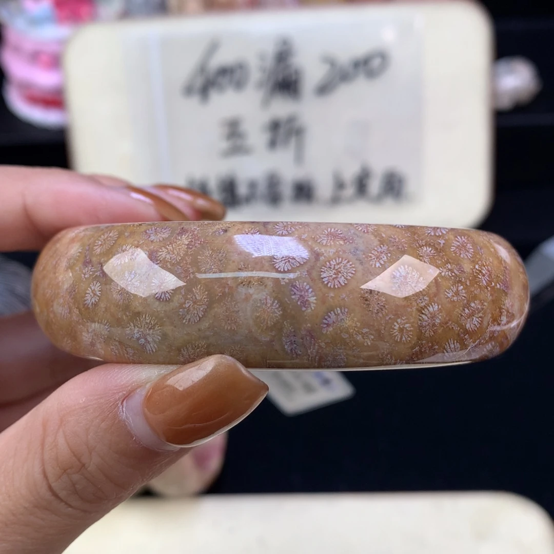 硅化珊瑚（珊瑚玉）未镶嵌颈饰五折精美手镯62口（17号）