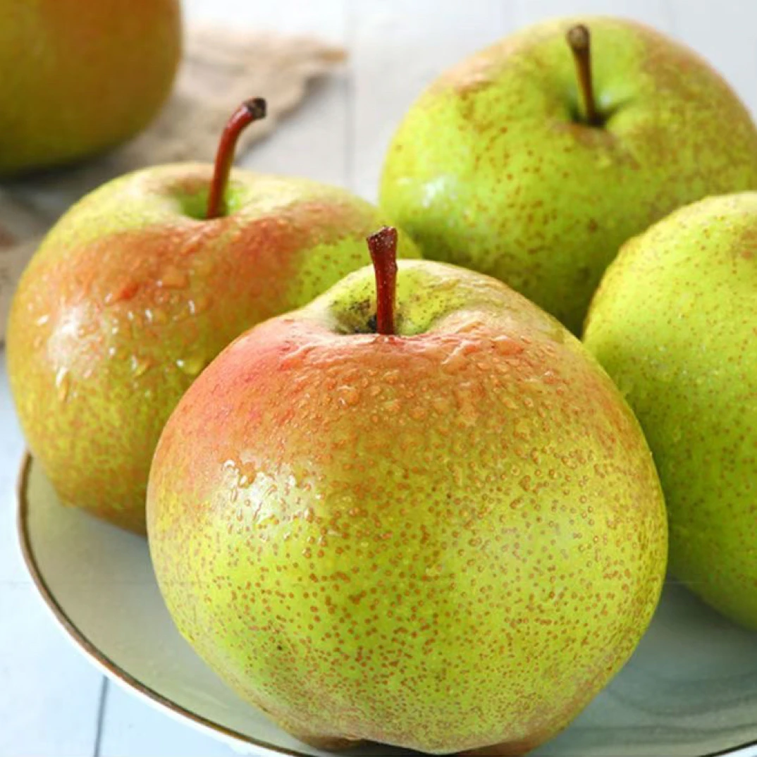 东北特产水果苹果梨新鲜当季甜脆可口