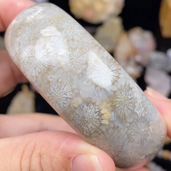 未镶嵌手镯硅化玉58