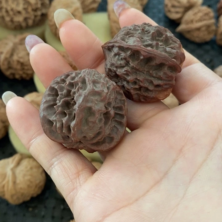 志白蛇骨白蛇骨白蛇骨