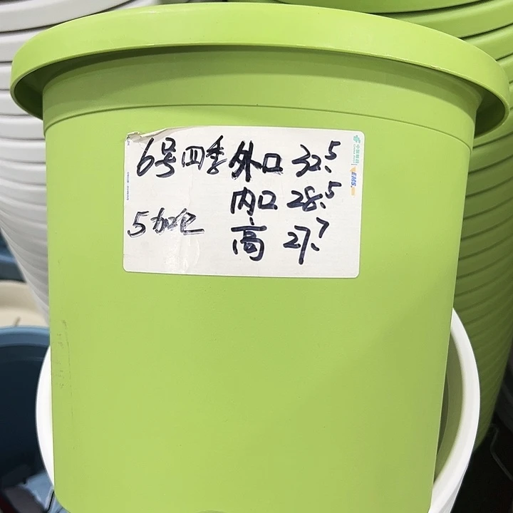 特价6号口32.5高27白色5只带托