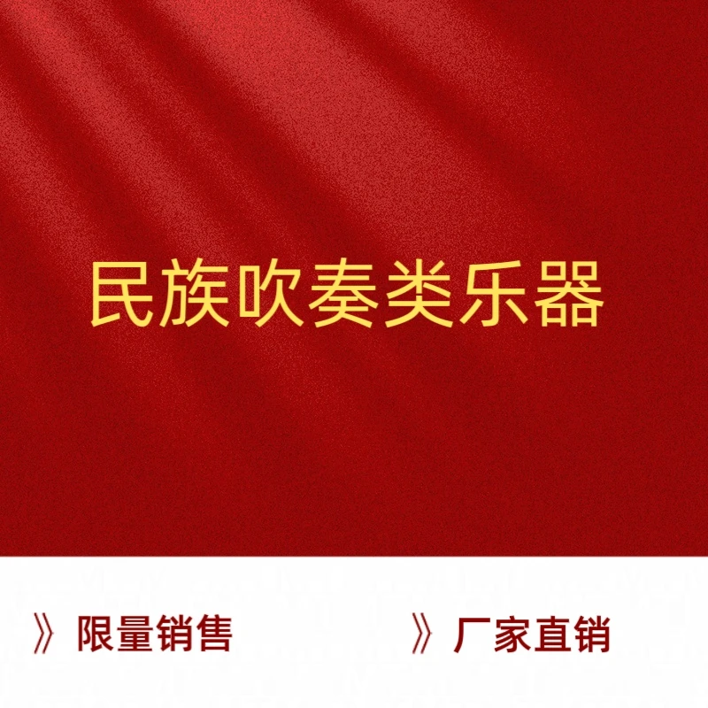 管子 唢呐 民族吹管乐厂家直销初学练习专业演奏型