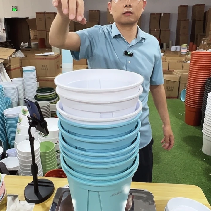 青山口21高21混色无托10只