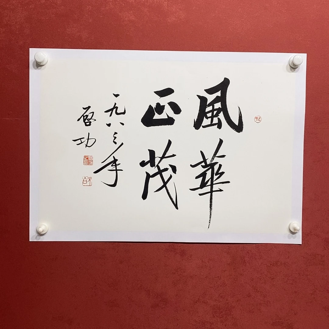 风华正茂直播打咯