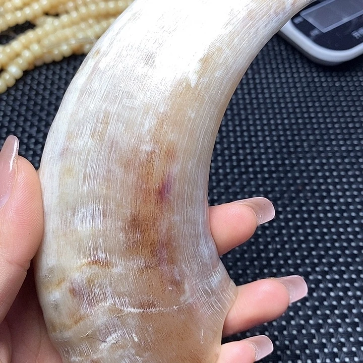 手串/手链驼骨其他配饰