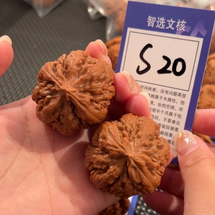 文玩核桃吊坠41尺霸王龙