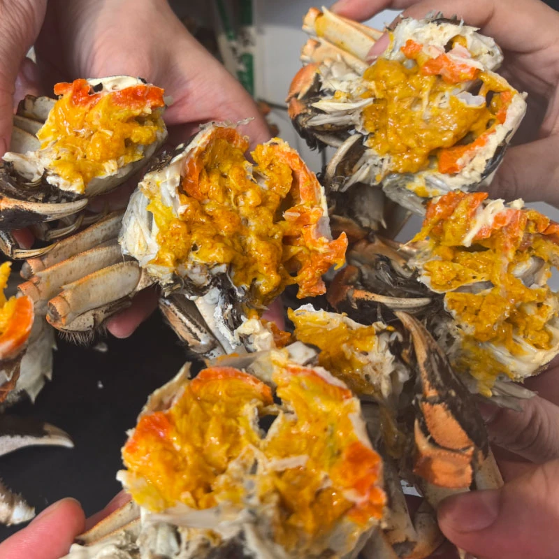 【打价格战来呀，蟹我自家养的 】鲜活大闸蟹母蟹2.5-2.2两10只螃蟹