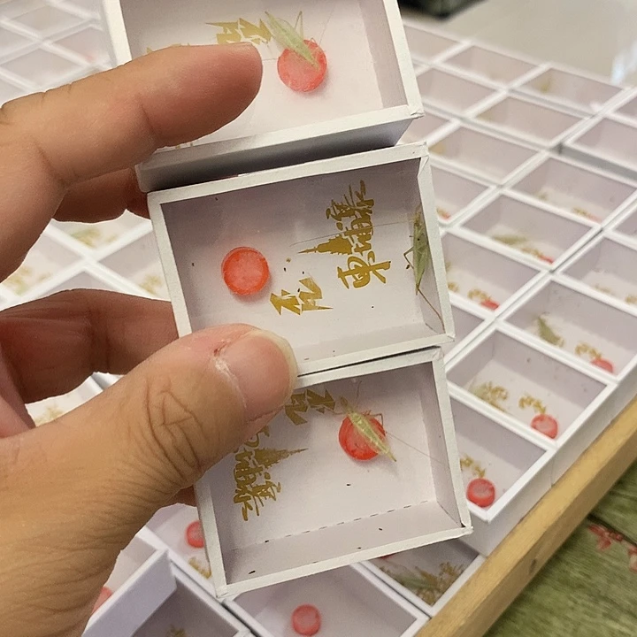 竹蛉哈哈哈哈我的