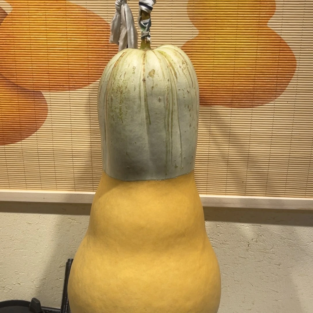 王***卡仿木不包邮不保龙头