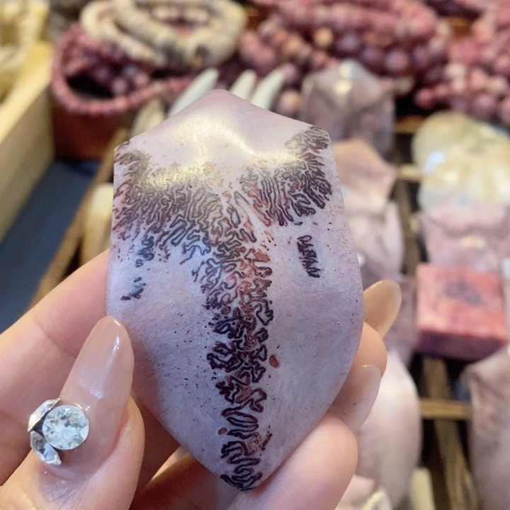 清***娃鹿三界好看好看好玩