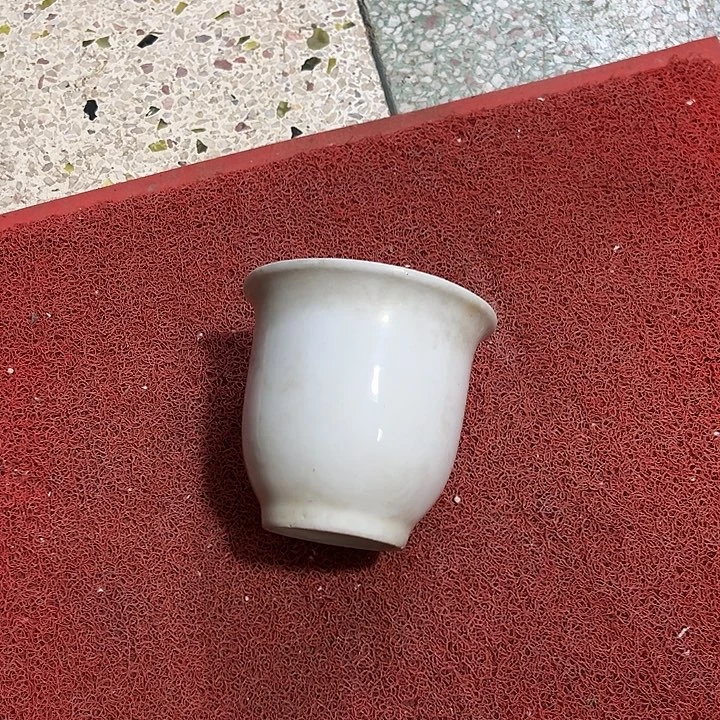 叶***萌11111111111111111111