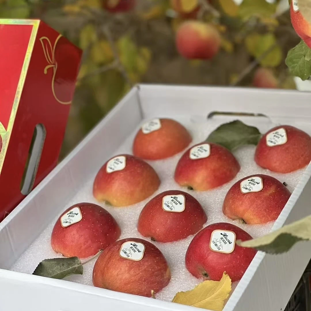 蜜诺娃 新疆阿克苏樱桃苹果礼盒装9-11颗净重5斤左右