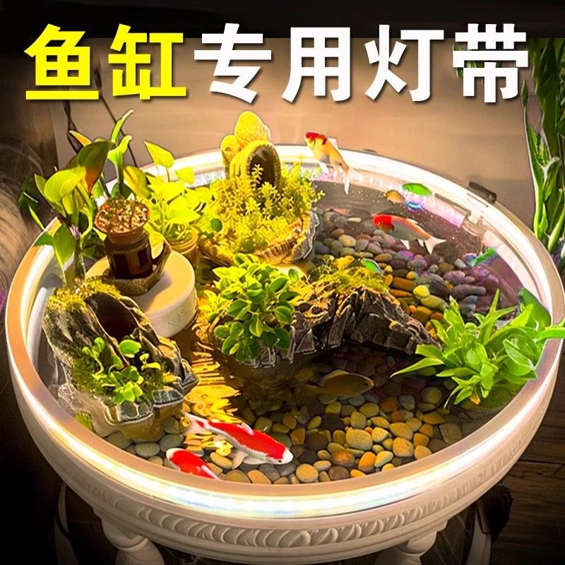 鱼缸鱼池专用防水led灯带低压24V三色变光水下硅胶照明氛围灯