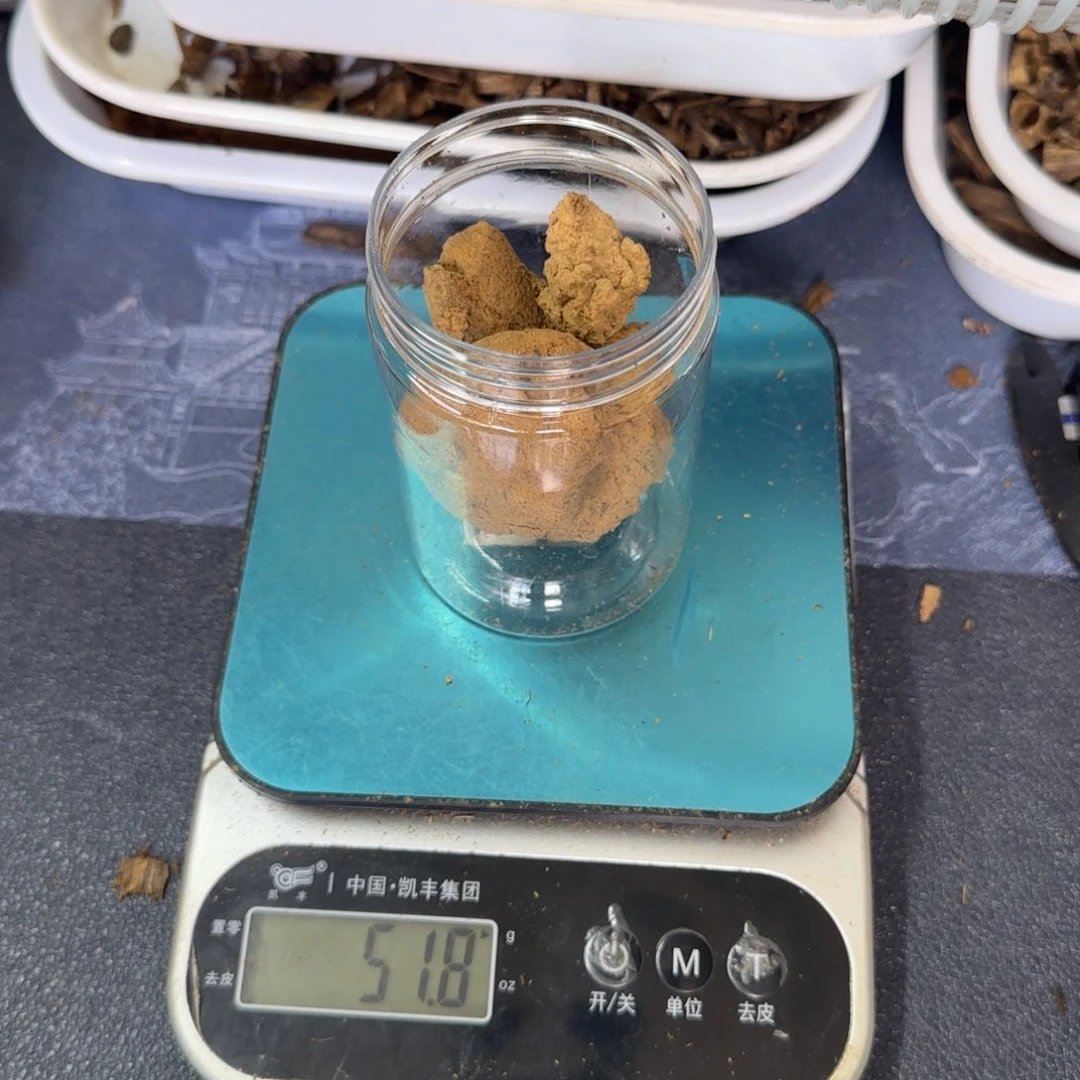 木乌*绿奇楠虫漏水磨粉50克