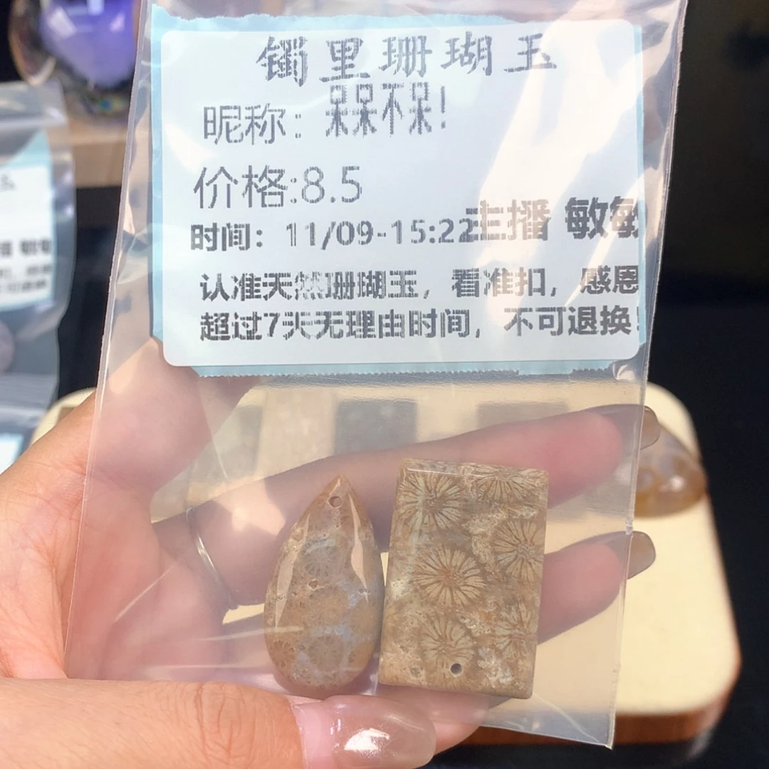【闪购商品】颈饰未镶嵌硅化珊瑚（珊瑚玉）呆***！