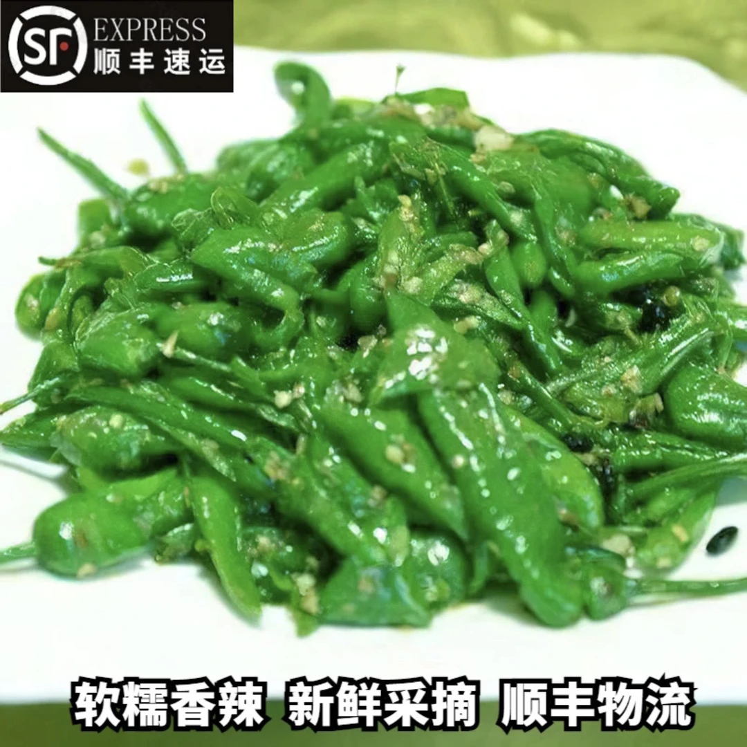 【顺丰包邮】樟树薄皮小青椒产地直发湖南品种香辣新鲜软糯虎皮辣椒
