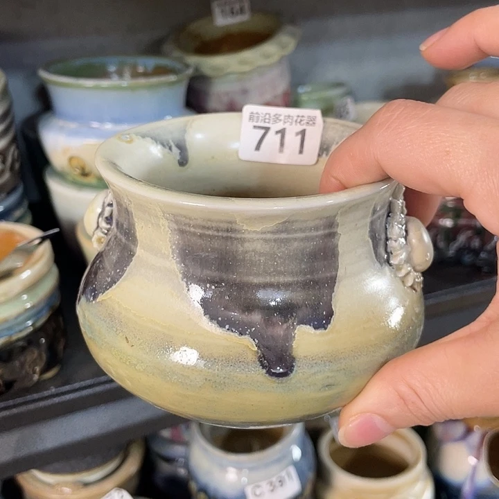 狼盆内口径9高度9