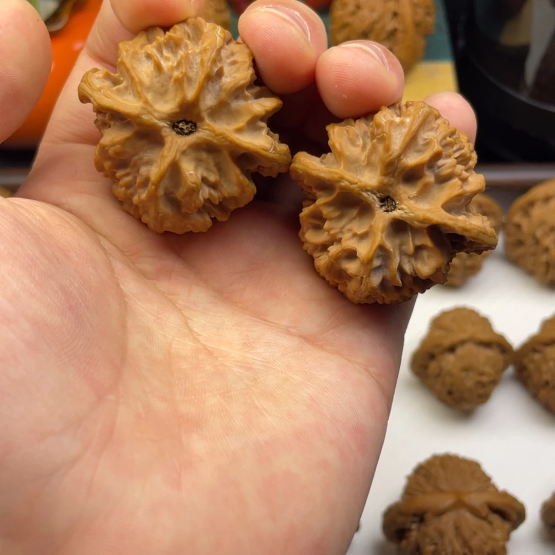 文玩核桃把件苹果园（无药果）