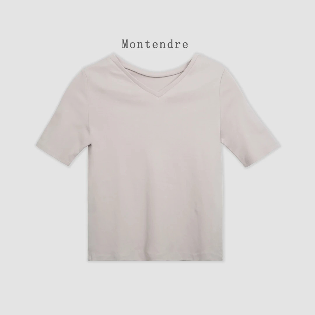 【胖虎家】春季新款 N 休闲百搭纯色短袖上衣V领薄款显瘦T恤