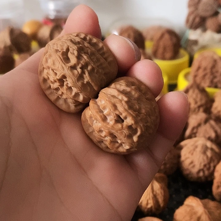 文玩核桃吊坠R****瑰文玩核桃白狮子