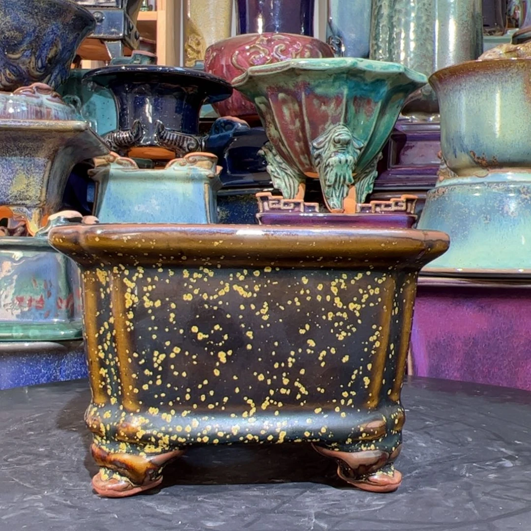 碟清*觉象原创…………