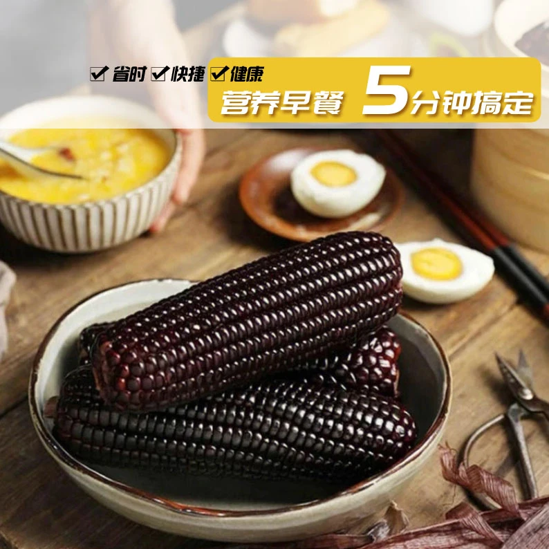 试吃2支 东北黑糯玉米真空包装粘糯香甜10支5斤